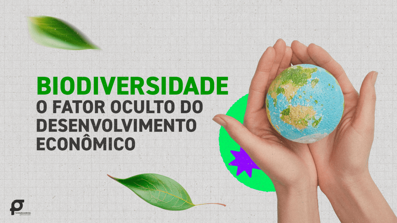 Estudos e Pesquisas Fundação Podemos